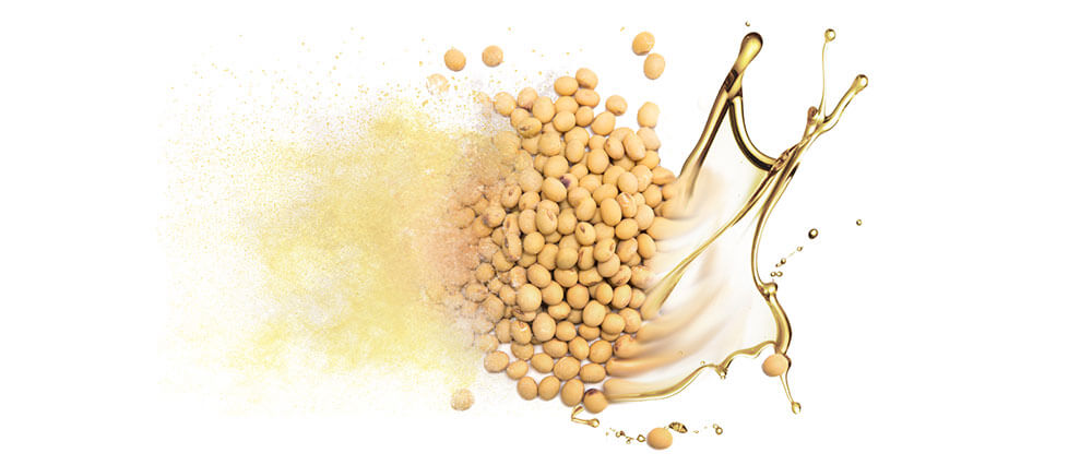 Soy oils and oil powders bulk manufacturing & supply