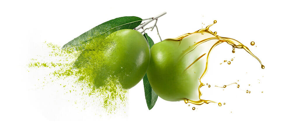 Olive oils & oil powders bulk supplier & distributer
