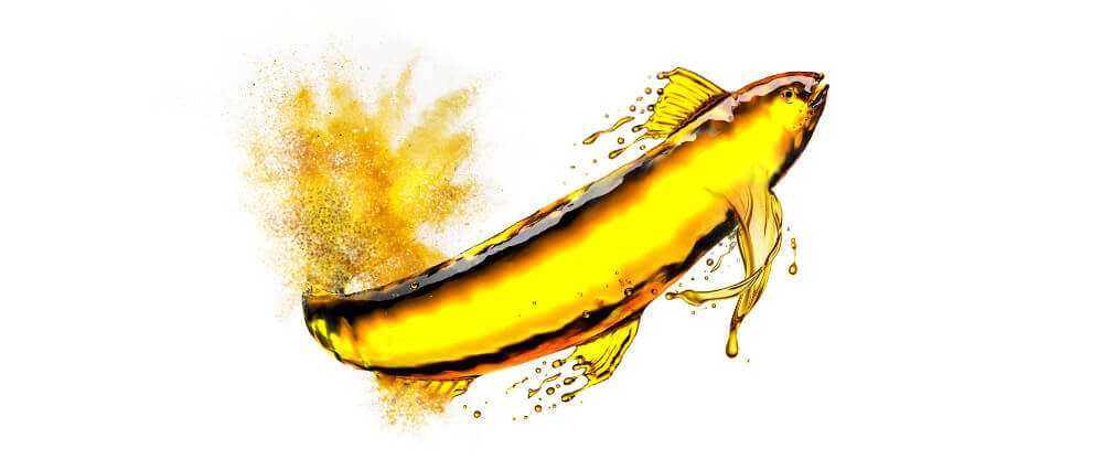 Fish oils & oil powder wholesalers & product manufacturers