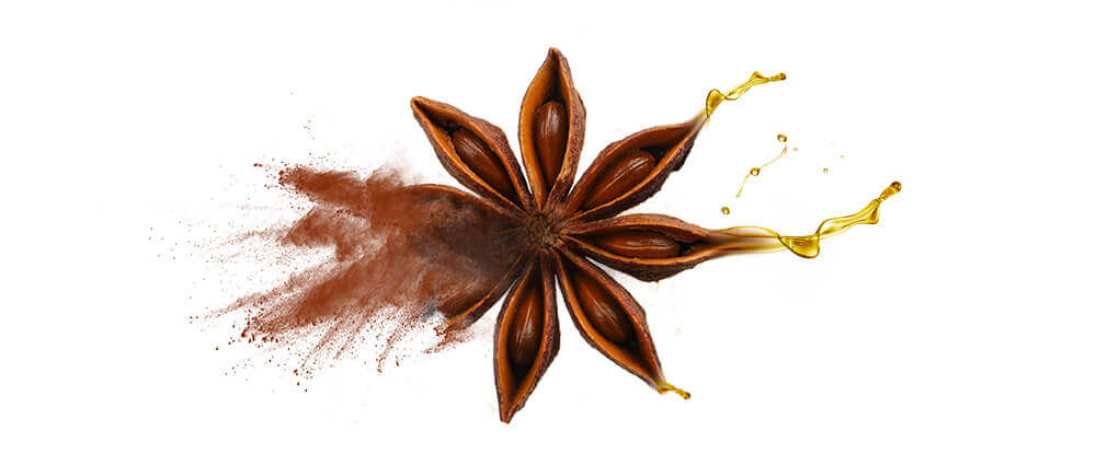 Wholesale anise (aniseed) oils & oil powders