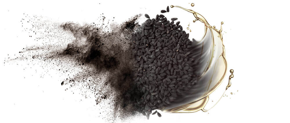 Black cumin seed oil and oil powder wholesaler & distributor bulk supply