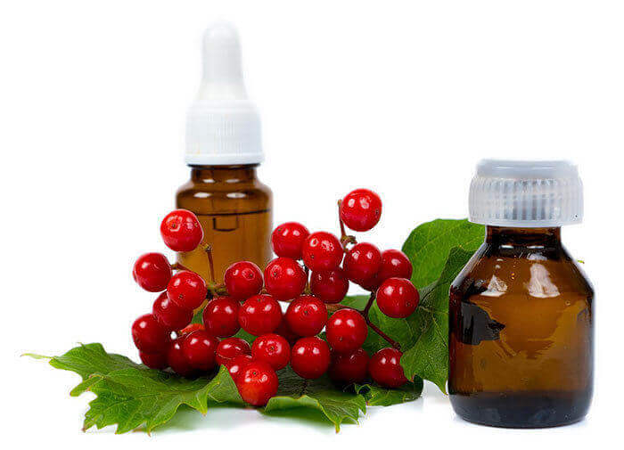 Cranberry seed oil and oil powder products supplier & wholesaler
