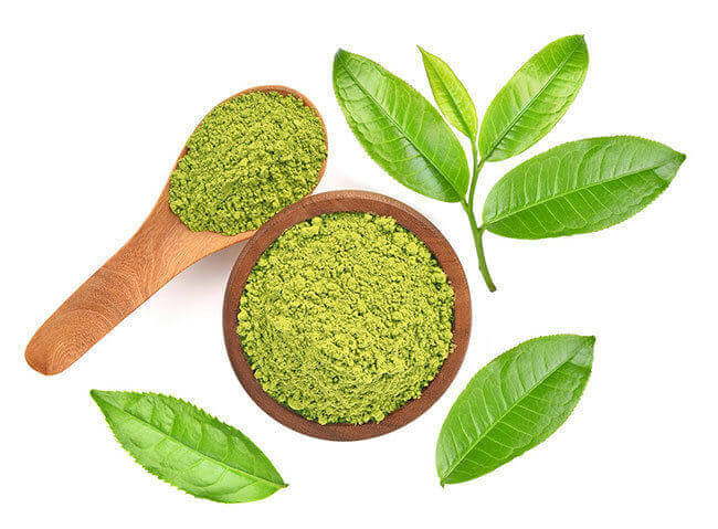 Green tea oils and oil powders bulk supply & manufacture