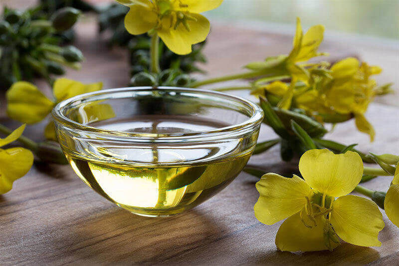 Wholesale evening primrose oil and oil powder for products