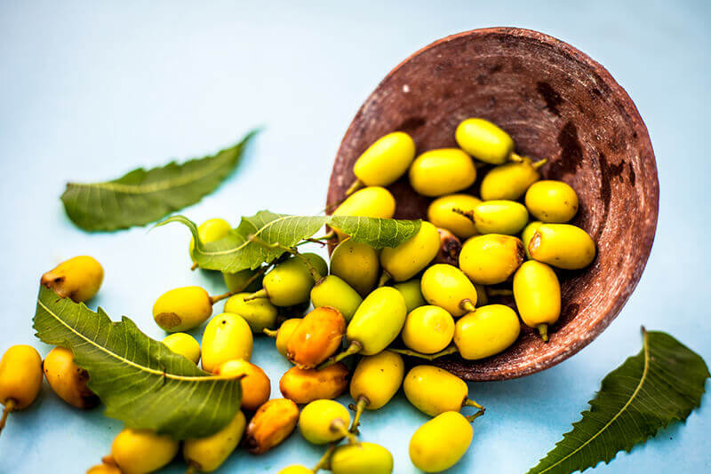 Olive oils & oil powders bulk supply & manufacture. Know what's in your  product with Connoils.